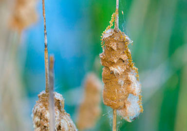 免费ddos平台攻击